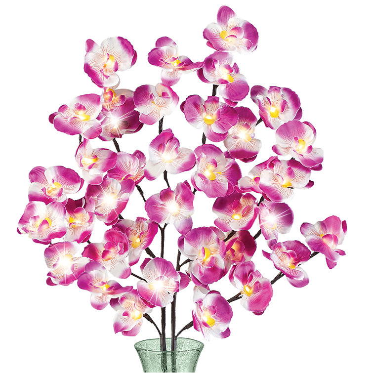 Primrue LED Lighted Orchid Bush in Vase Wayfair